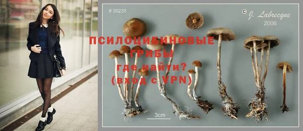 тгк Щигры